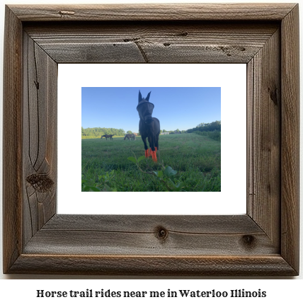 horse trail rides near me in Waterloo, Illinois